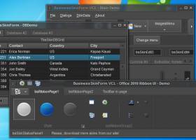 BusinessSkinForm screenshot