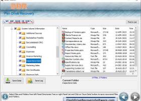 Flash Drive Recovery Software screenshot