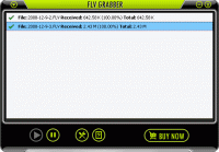 Flv Grabber screenshot