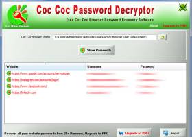 CocCoc Password Decryptor screenshot