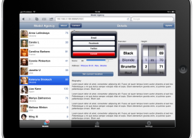 TMS IntraWeb iPhone Controls Pack screenshot