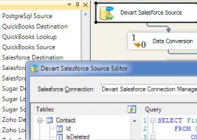 SSIS Integration Database Bundle screenshot