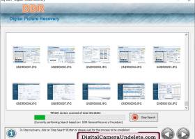 Digital Pictures Undelete Tool screenshot