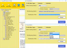 NSF To PST Converter screenshot