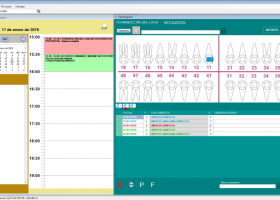 OdonGesPro screenshot