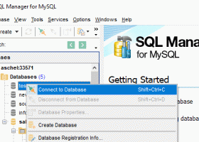 EMS SQL Management Studio for MySQL screenshot