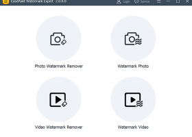 EasePaint Watermark Expert screenshot