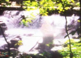 Anand Krishna Meditating at waterfall screenshot