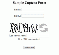 Briz ASP Captcha screenshot