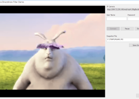 IP Camera Directshow Filter screenshot