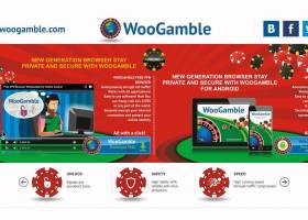 WooGamble Free VPN Browser screenshot