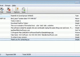 FastFox Text Expander Business License screenshot