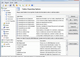 DTM Schema Reporter screenshot