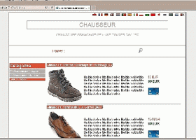 LittleWebBusiness screenshot