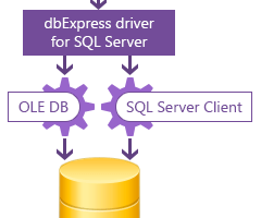 dbExpress driver for SQL Server screenshot