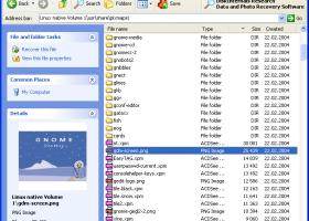 DiskInternals Linux Reader screenshot