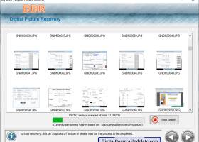 Digital Pictures Undelete Software screenshot