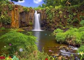 Nature Reserve Screensaver screenshot