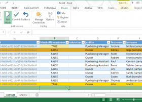 Excel Add-in for Dynamics CRM screenshot