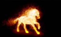 Fire Horse Animated Wallpaper screenshot