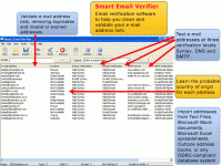 Smart Email Verifier screenshot