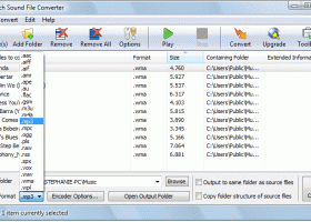 switch audio file conversion software