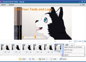 ThunderSoft GIF Editor screenshot