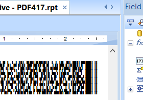 Crystal Reports PDF417 Barcode Generator screenshot