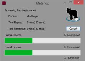 MetaFox screenshot