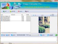 Bg4soft Free Image Converter screenshot