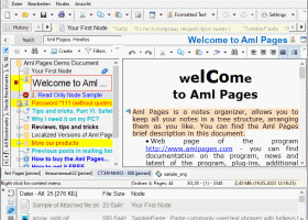 Aml Pages German Version screenshot