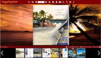 Coconut Palm Flip Book Theme screenshot