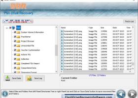 Salvage USB Drive Files screenshot