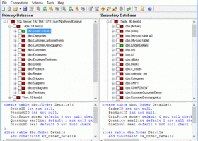 DTM Schema Comparer screenshot