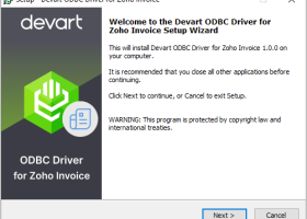 Zoho Invoice ODBC Driver by Devart screenshot