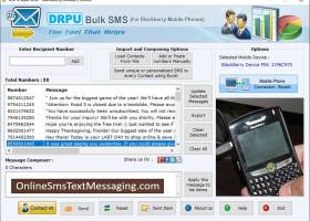 Text Messaging Software for Blackberry screenshot