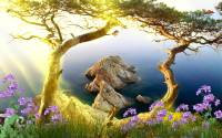 Beautiful Landscape Animated Wallpaper screenshot