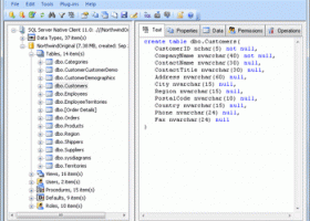 DTM Schema Inspector screenshot