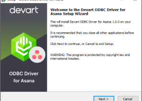 Asana ODBC Driver by Devart screenshot