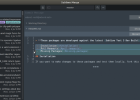 Portable Sublime Text screenshot