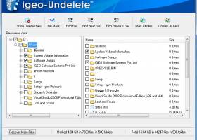 IGEO UNDELETE screenshot