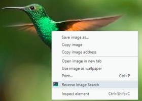 Reverse Image Search for Firefox screenshot