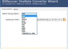 OneNote to PDF Converter screenshot