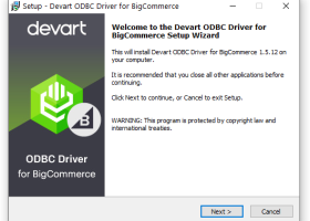 BigCommerce ODBC Driver by Devart screenshot