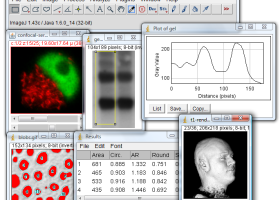 ImageJ screenshot