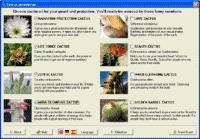 Cactus Emulator screenshot