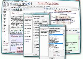 Bible Analyzer screenshot