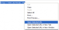 IE Open Selected URL screenshot