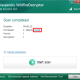 Kaspersky WildfireDecryptor