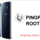 PingPong Root